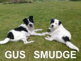 Gus and Smudge